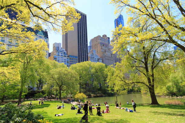 persone che si rilassano a central park, manhattan - central park foto e immagini stock