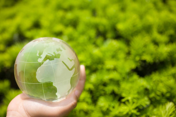 istock Child's hand and the Earth 665497952