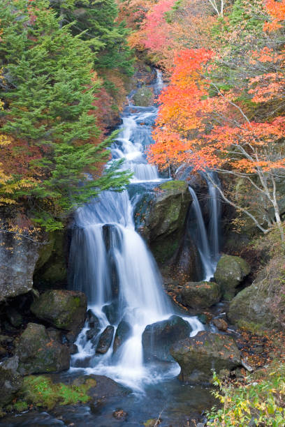 istock Crown of autumn-waterfall 665498312