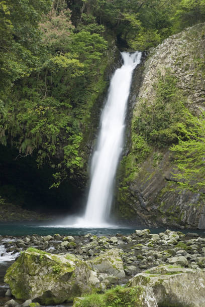 istock Waterfall of pure 665503960