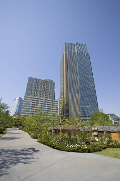 istock Fresh green and Tokyo Midtown 665506572
