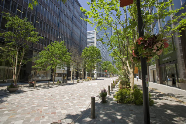 istock Marunouchi nakadori of spring 665506814