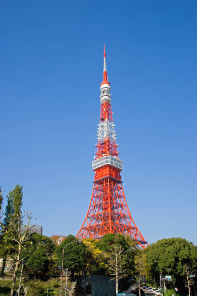 istock Fall foliage and Tokyo Tower 665507102
