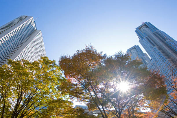 istock Autumn Shinjuku skyscrapers 665508028