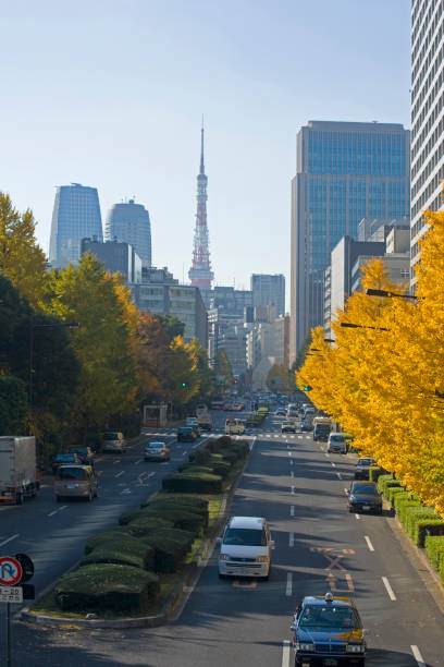 istock Ginkgo and Tokyo Tower 665508208