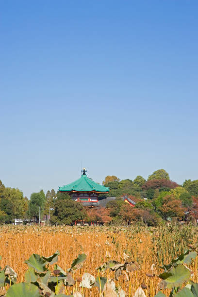 istock Autumn Ueno pond 665510350