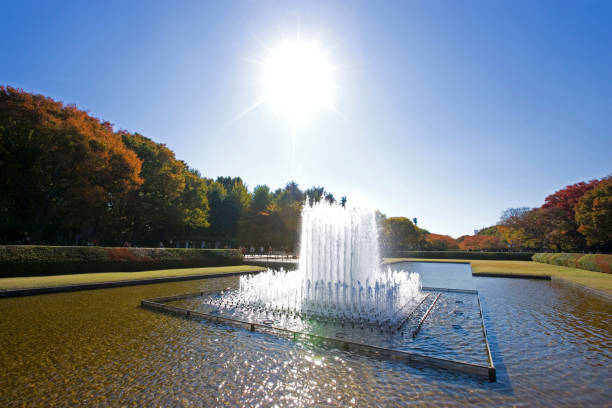 istock Ueno Park in autumn 665510420