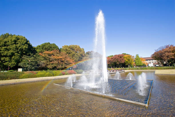 Ueno Park in autumn