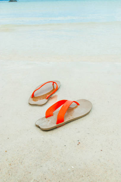 istock sandal on the beach summer vacation concept 665511418