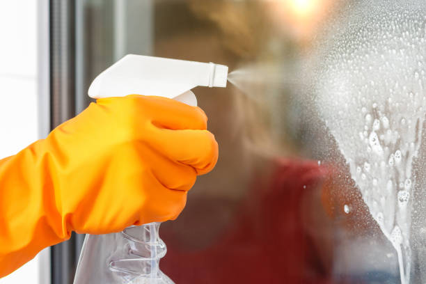 istock Cleaning Windows the spray bottle detergent. 665514674