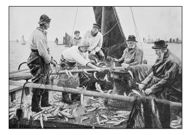 Antique photo of paintings: Fishermen Antique dotprinted photo of paintings: Fishermen commercial fishing net photos stock illustrations