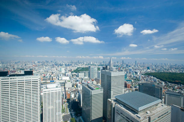 istock Shinjuku subcenter prospects 665518908