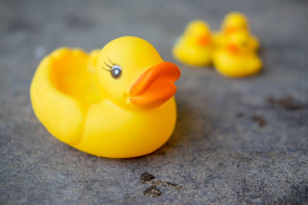 istock Plastic yellow duck toy, Close up and Selective focus 665525284