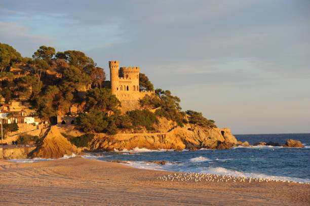 istock Seagulls on the Mediterranean in Spain 665547788