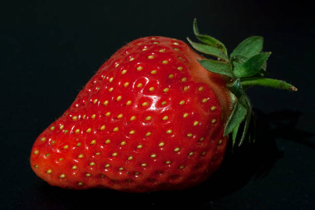 istock Strawberry; Fragaria x ananassa 665547896