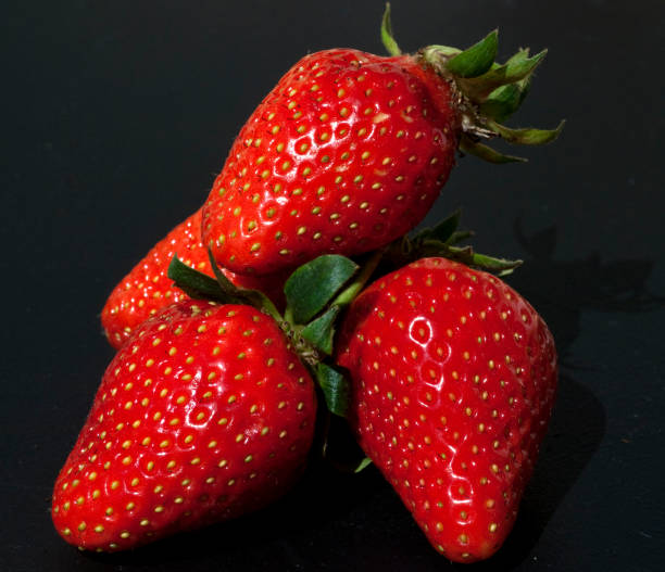 istock Strawberry; Fragaria x ananassa 665548272