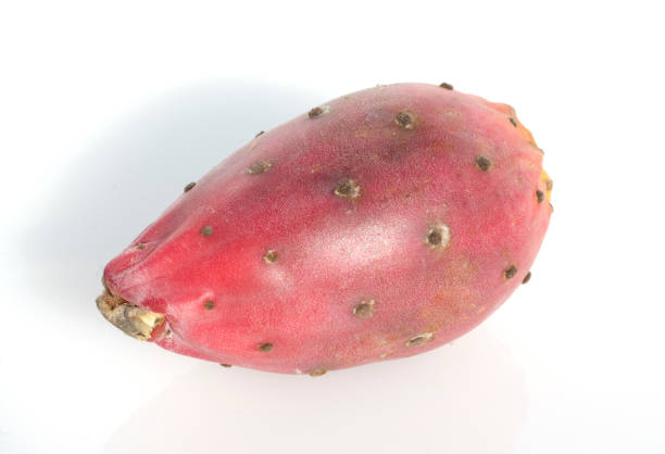 istock Opuntia ficus indica; prickly pear 665549332