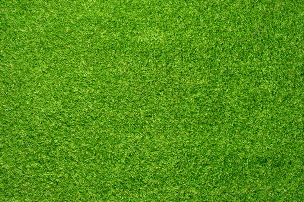 istock artificial grass for indoor & outdoor 665554326