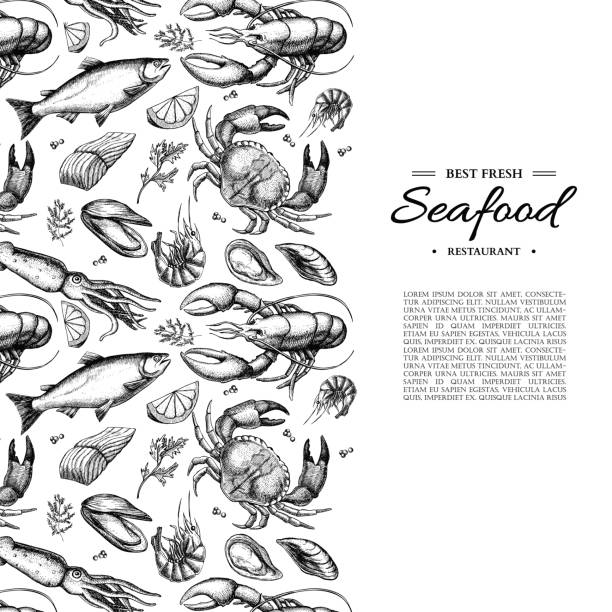 Seafood hand drawn vector illustration. Crab, lobster, shrimp, oyster, mussel, caviar Seafood hand drawn vector illustration. Crab, lobster, shrimp, oyster, mussel, caviar and squid. Engraved style vintage template. Fish and sea food restaurant menu, flyer, card, business promote fish illustrations stock illustrations