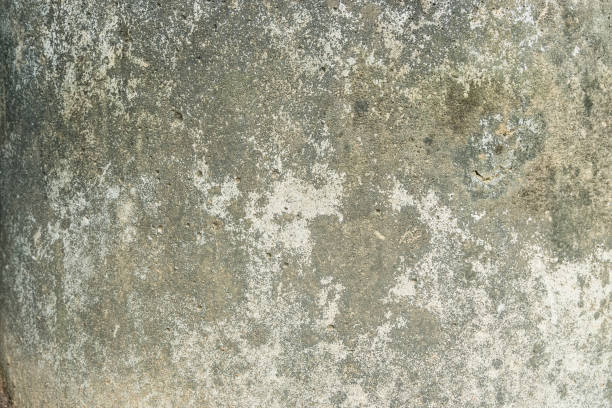 istock Raw of concrete texture for background 665555316