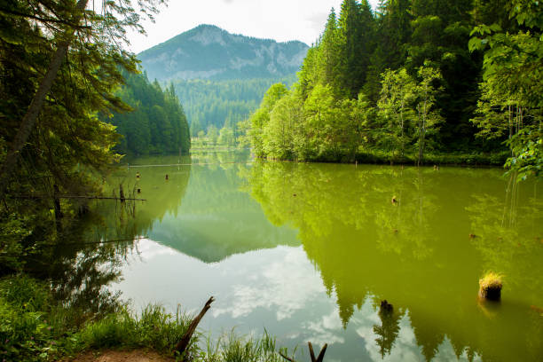 istock Red Lake - Red Lake, Eastern Carpathians, Romania 665581242