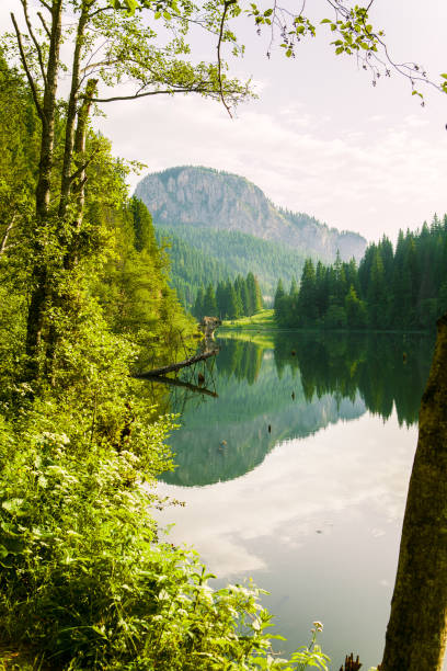 istock Red Lake - Red Lake, Eastern Carpathians, Romania 665582568