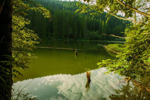 Red Lake - Red Lake, Eastern Carpathians, Romania stock photo