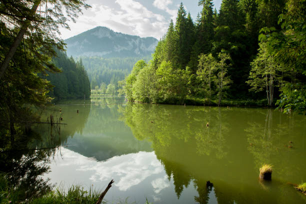 istock Red Lake - Red Lake, Eastern Carpathians, Romania 665585144
