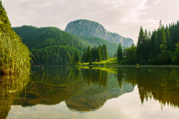 istock Red Lake - Red Lake, Eastern Carpathians, Romania 665588438
