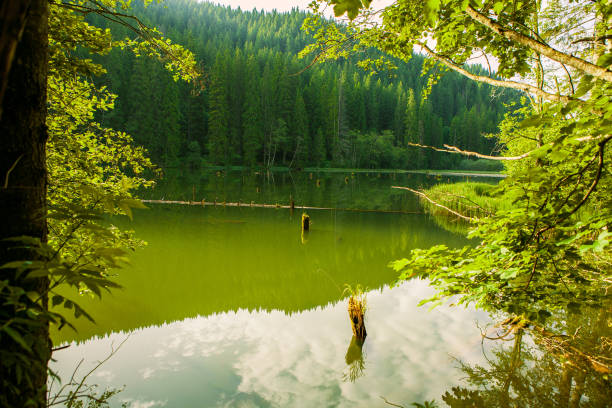 istock Red Lake - Red Lake, Eastern Carpathians, Romania 665589486