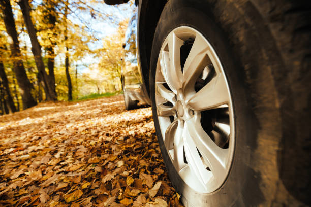 istock Tyres suited for off road conditions 665589582