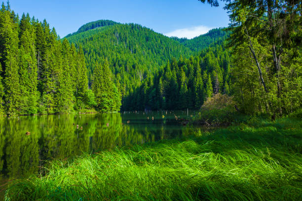 istock Red Lake - Red Lake, Eastern Carpathians, Romania 665593716