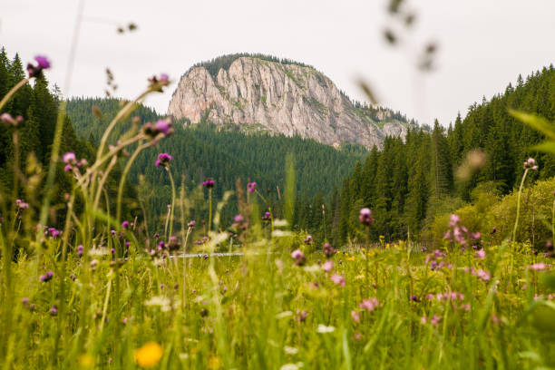 istock Red Lake - Red Lake, Eastern Carpathians, Romania 665602138