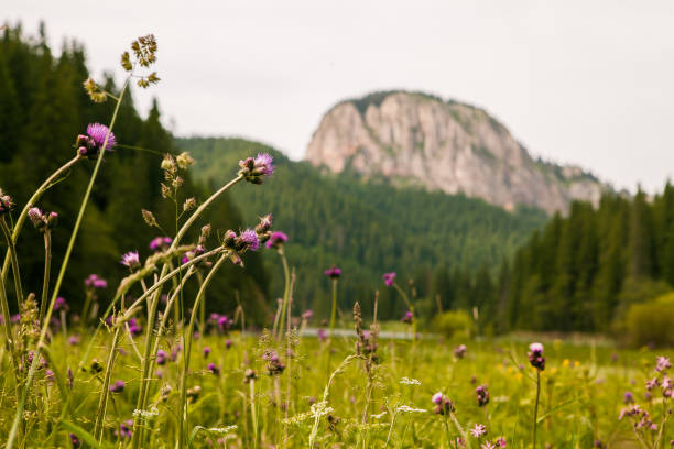 istock Red Lake - Red Lake, Eastern Carpathians, Romania 665602866