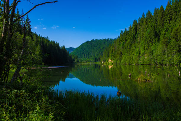istock Red Lake - Red Lake, Eastern Carpathians, Romania 665602932