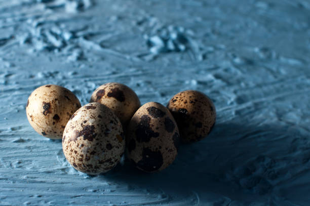 istock A pile of quail eggs against blue background close up 665603834