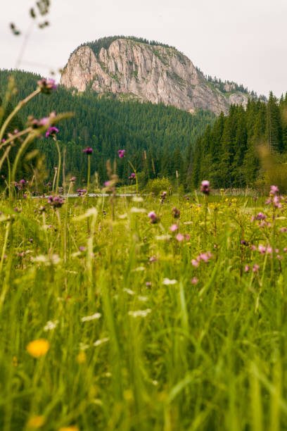 istock Red Lake - Red Lake, Eastern Carpathians, Romania 665609376