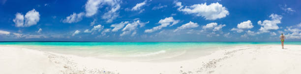 istock Panoramic View Of Idyllic Tropical Beach 665613894