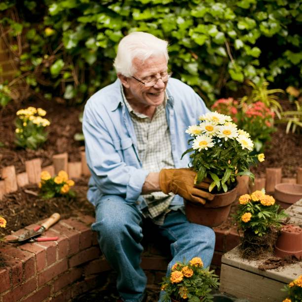 istock Senior Man in Garden 665623662