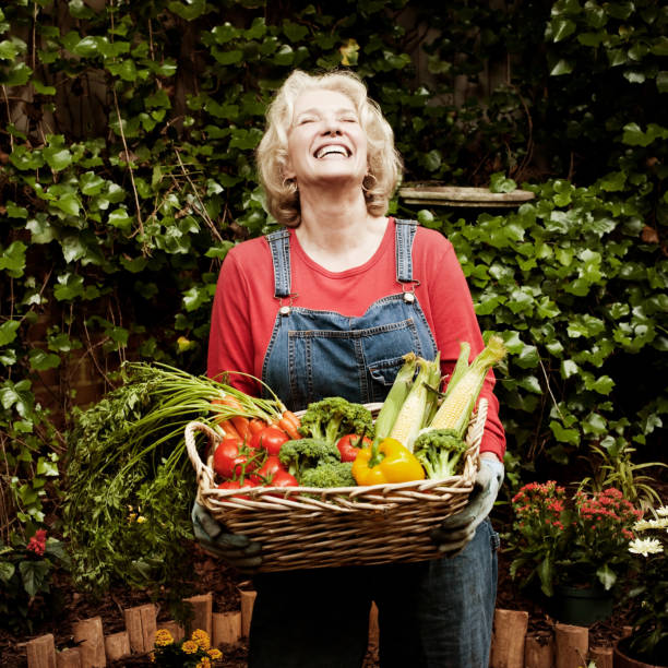 happy senior woman z warzyw ogrodowych. - planting tomato vegetable garden vegetable zdjęcia i obrazy z banku zdjęć