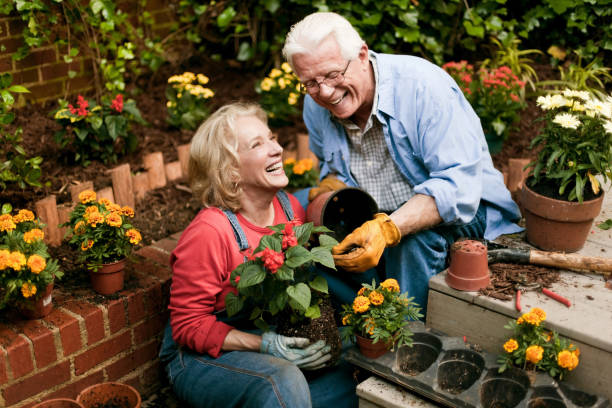 садовая пара - gardening couple senior adult ethnic стоковые фото и изображения