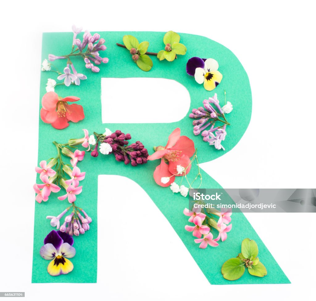 Letter R Made Of Spring Flowers And Paper Stock Photo - Download Image Now  - Alphabet, Blossom, Bud - iStock