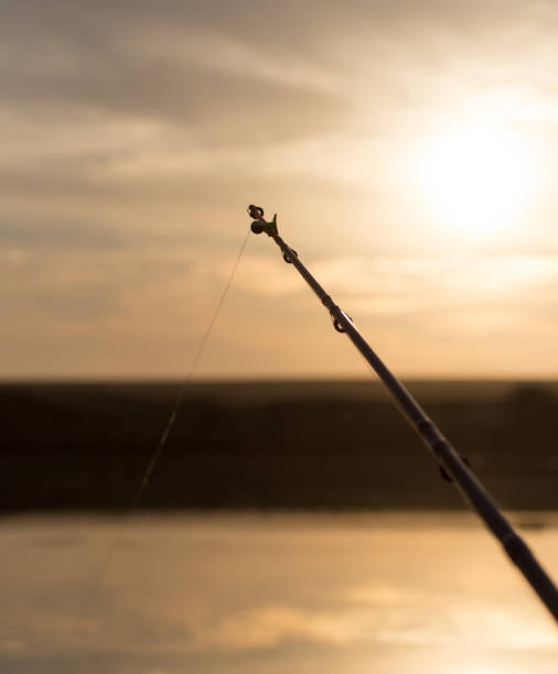 istock rod on the lake at sunset 665634158
