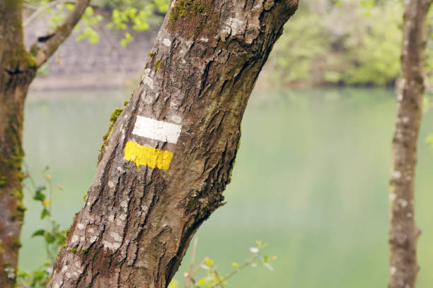 istock White and yellow marks of a Medium Distance Walking Route. 665638286