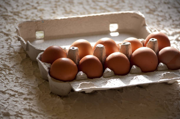 istock Chicken eggs in a cardboard box on a white background. 665638296