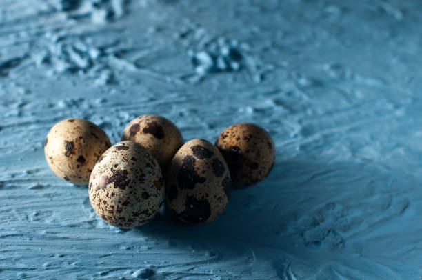 istock A pile of quail eggs against blue background close up 665640642