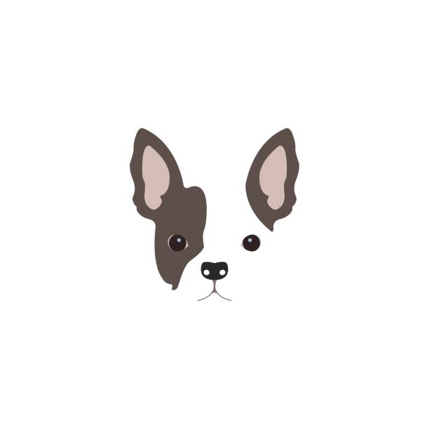 ilustraciones, imágenes clip art, dibujos animados e iconos de stock de cabeza de bulldog francés. - french bulldog