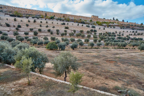 istock Jerusalem - 11 November, 2016: Famous Kidron valley, Jerusalem 665647098