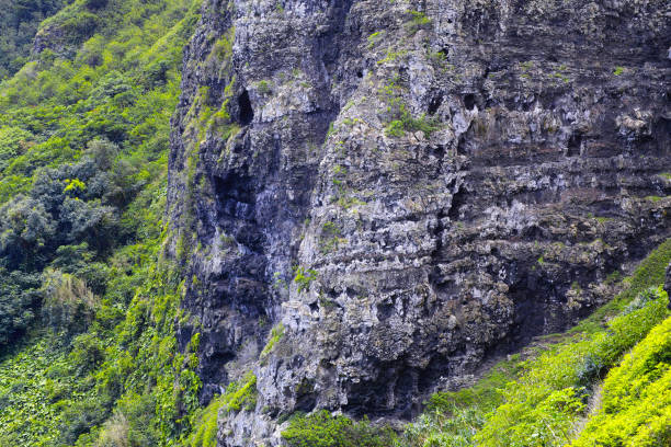 Rock wall Hawaii Lion Rock Wall 岩壁 stock pictures, royalty-free photos & images