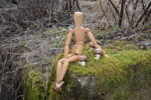 istock Wooden figure with mushrooms on moss 665652982